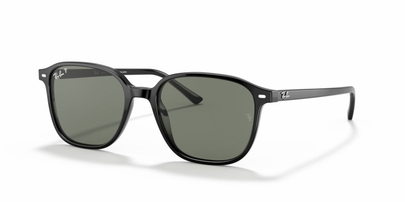 Sonnenbrillen Ray-Ban Leonard RB2193 901/58 53 18