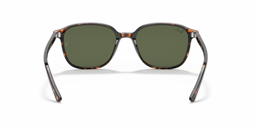 Gafas de Sol Ray-Ban Leonard RB2193 902/31 53 18