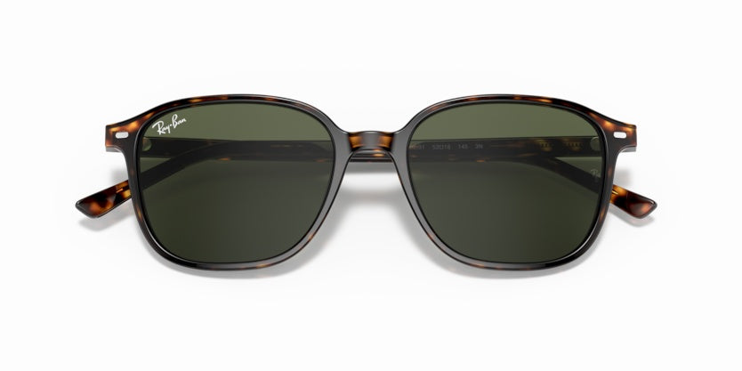 Gafas de Sol Ray-Ban Leonard RB2193 902/31 53 18