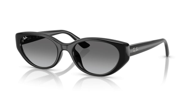 Gafas de Sol Ray-Ban RB4457D 667711 55 19