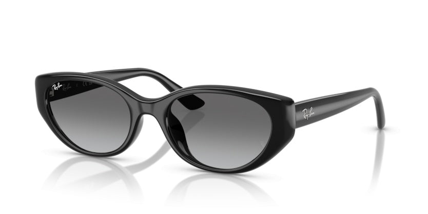 Lunettes de Soleil Ray-Ban RB4457D 667711 55 19