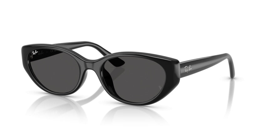 Lunettes de Soleil Ray-Ban RB4457D 667787 55 19