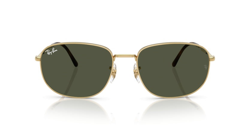 Gafas de Sol Ray-Ban RB3754 001/31 60 19