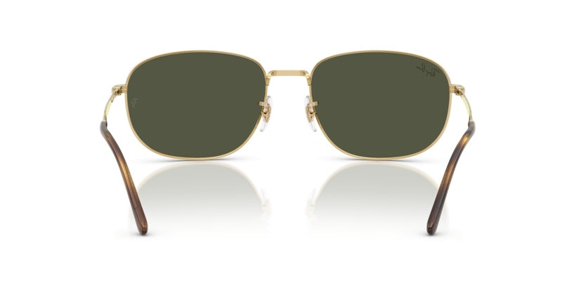 Gafas de Sol Ray-Ban RB3754 001/31 60 19