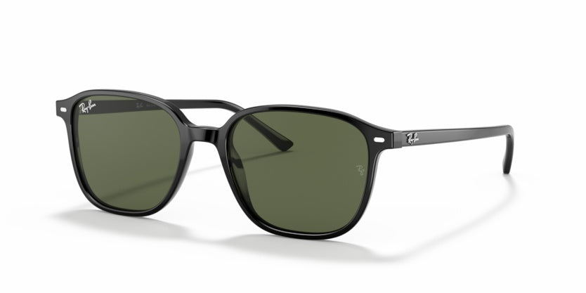 Sunglasses Ray-Ban Leonard RB2193 901/31 53 18