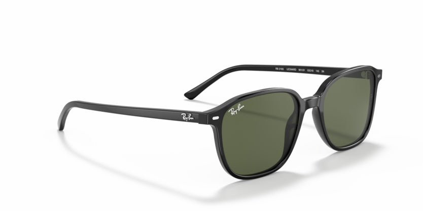 Gafas de Sol Ray-Ban Leonard RB2193 901/31 53 18
