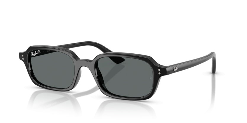 Sunglasses Ray-Ban RB4455 667781 52 19