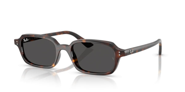 Gafas de Sol Ray-Ban RB4455 135987 52 19