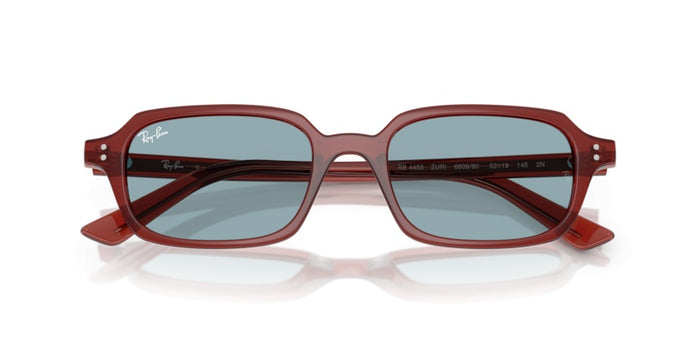 Sonnenbrillen Ray-Ban RB4455 680980 52 19 — vista 4
