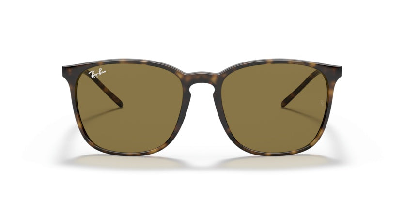 Gafas de Sol Ray-Ban RB4387 710/73 56 18