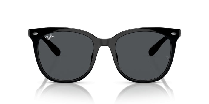 Sonnenbrillen Ray-Ban RB4379D 601/87 55 19 — vista 5