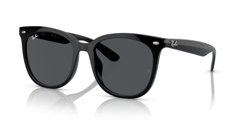 Sonnenbrillen Ray-Ban RB4379D 601/87 55 19