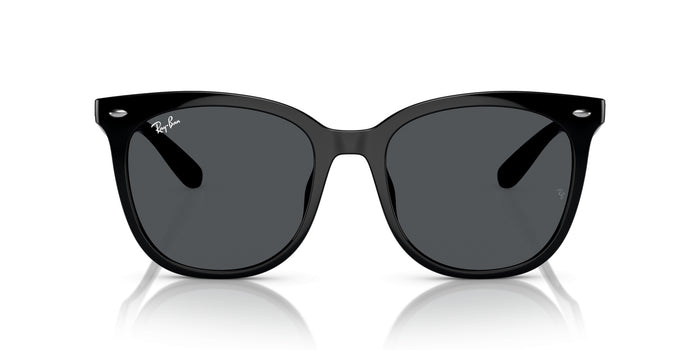 Sonnenbrillen Ray-Ban RB4379D 601/87 55 19 — vista 2