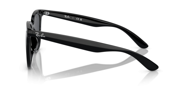 Sonnenbrillen Ray-Ban RB4379D 601/87 55 19 — vista 3