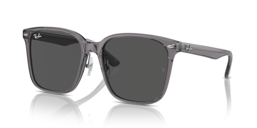 Sonnenbrillen Ray-Ban RB2206D 139987 57 18