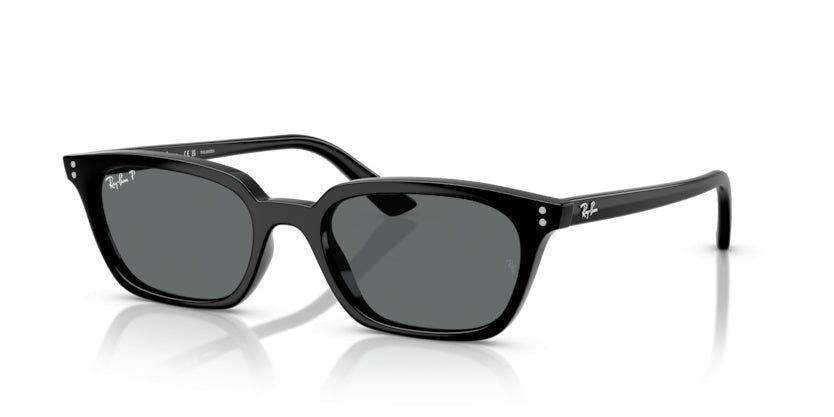 Sunglasses Ray-Ban RB4456 667781 53 19