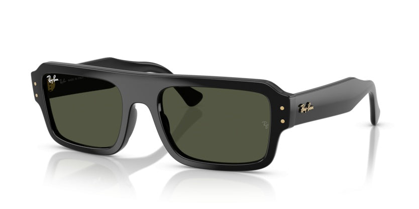 Lunettes de Soleil Ray-Ban RB4454 667731 56 20