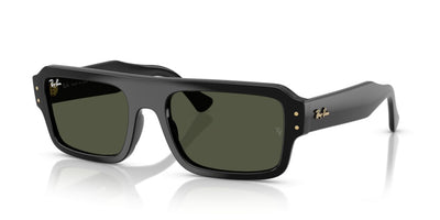 Lunettes de Soleil Ray-Ban RB4454 667731 56 20
