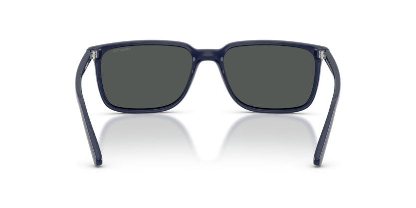 Gafas de Sol Arnette Dinsky AN4364 275487 57 17