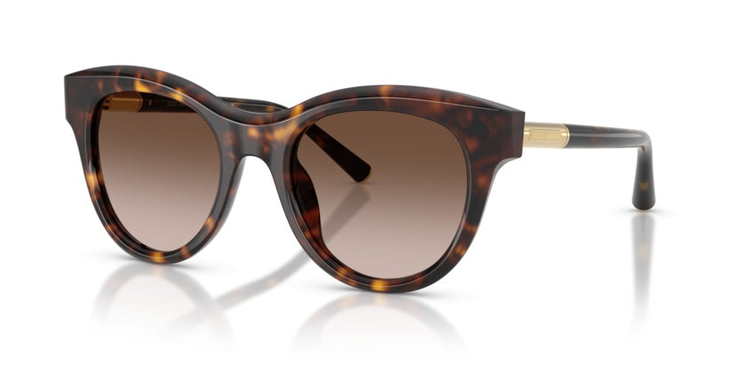 Sunglasses Dolce Gabbana DG4518 502/13 52 21