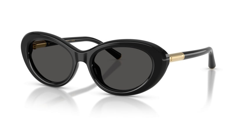 Sonnenbrillen Dolce Gabbana DG4519 501/87 54 18