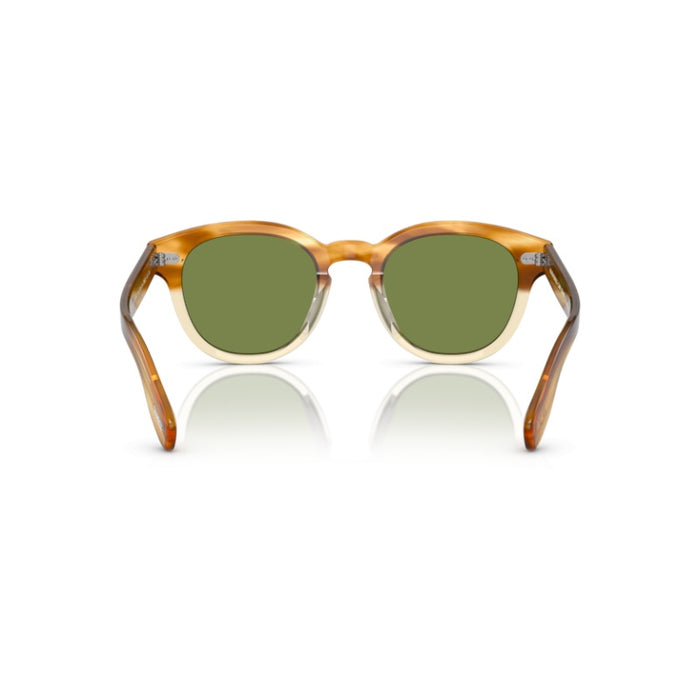Gafas de Sol Oliver Peoples Cary Grant OV5413SU 167452 50 22 — vista 5