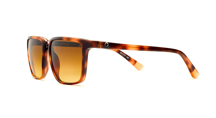 Gafas de Sol Etnia ARGENTERIA SUN — vista 6