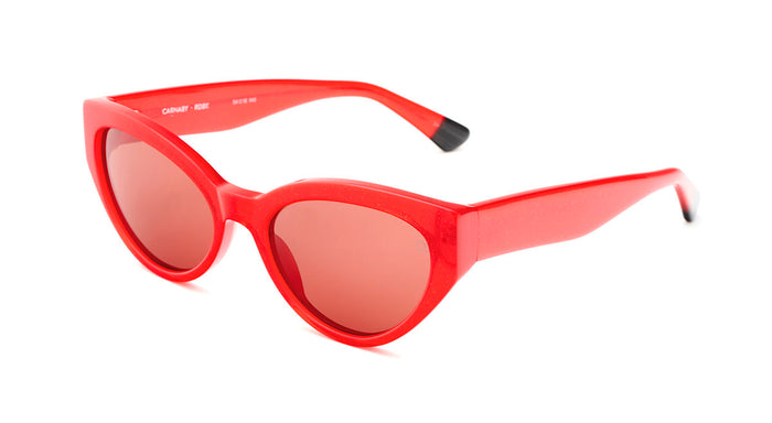 Gafas de Sol Etnia CARNABY SUN — vista 6