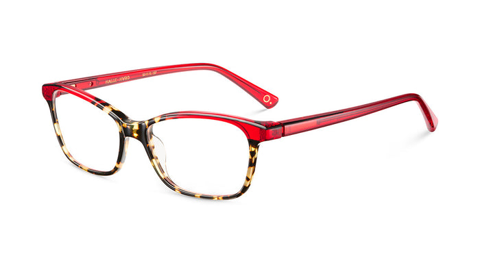 Gafas Graduadas Etnia HALLE — vista 8