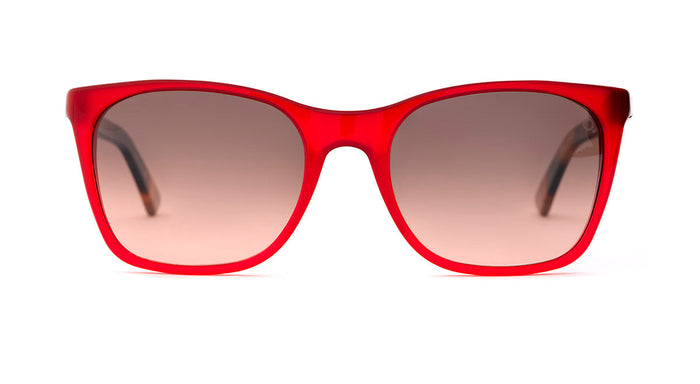 Gafas de Sol Etnia MONTSIO SUN — vista 4