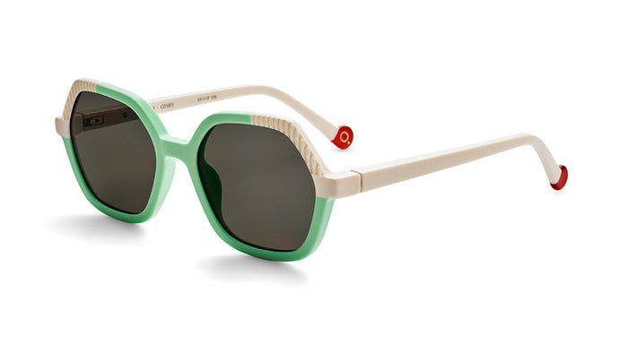 Gafas de Sol Etnia TURTLE SUN — vista 5