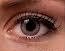 Freshlook Colors с диоптриями — vista 6