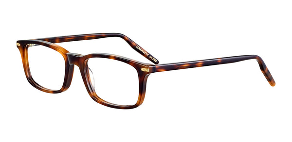 Sonnenbrillen Serengeti Clint 615002 Shiny Tortoise Havana 55 19