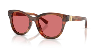 Dolce & Gabbana DG4533 322175 54 20 太阳镜