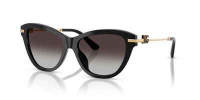 Dolce & Gabbana DG4534 501/8G 53 16 太阳镜 黑色 意大利品牌