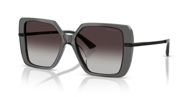 Gafas de Sol Jimmy Choo JC5048JU 50788G 55 15