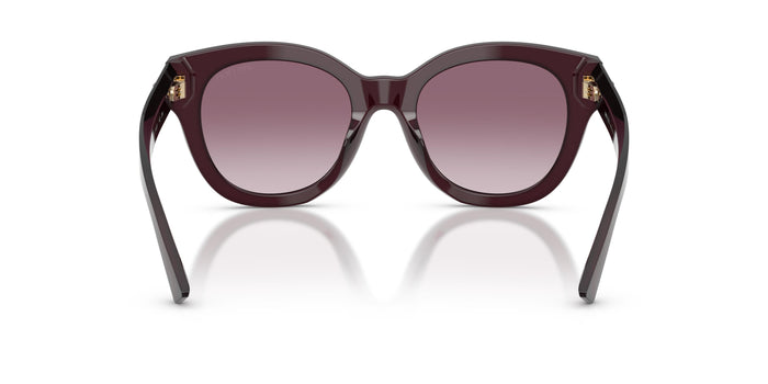 Gafas de Sol Jimmy Choo JC5053 50866X 51 20 — vista 3
