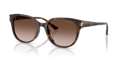 Gafas de Sol Jimmy Choo JC5057D 500213 55 19