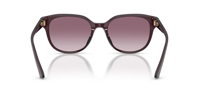 Gafas de Sol Jimmy Choo JC5057D 50866X 55 19 — vista 3