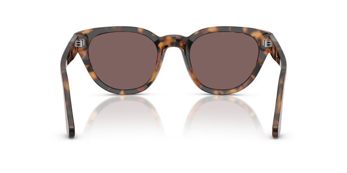 Солнцезащитные очки Persol PO3379S 105253 — vista 3