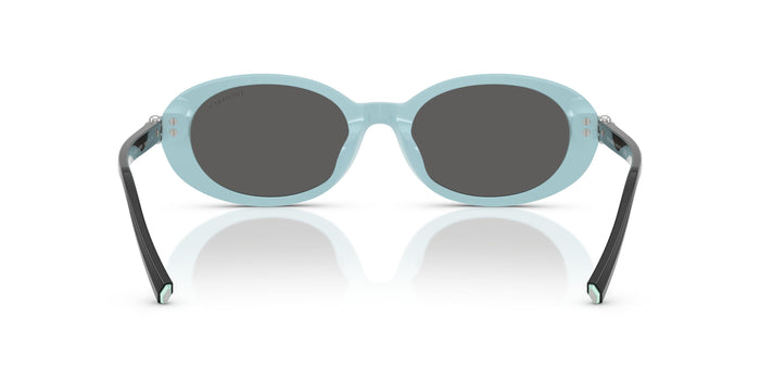 TF4242D — vista 3