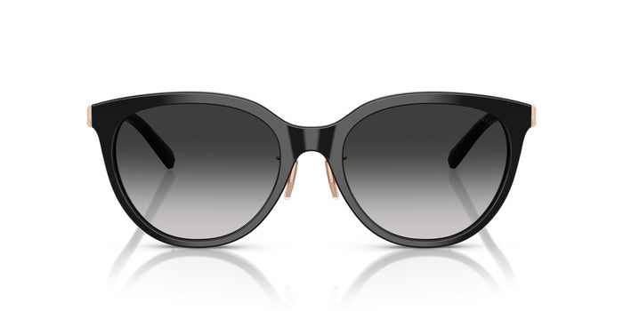 TF4243D — vista 4