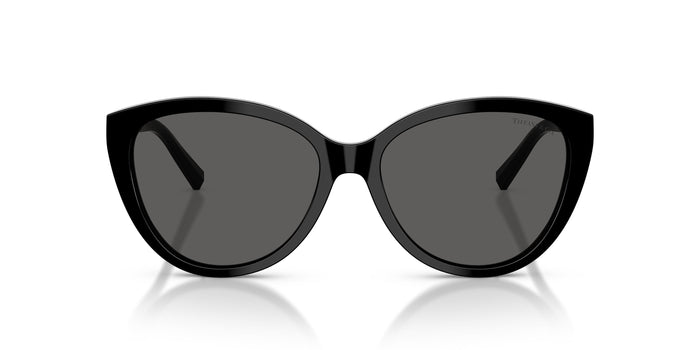 Tiffany TF4251 8001S4 56 16 太阳镜 — vista 4