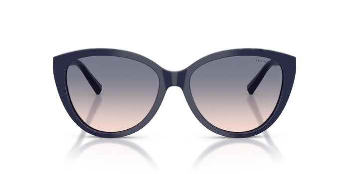 TF4251 — vista 4