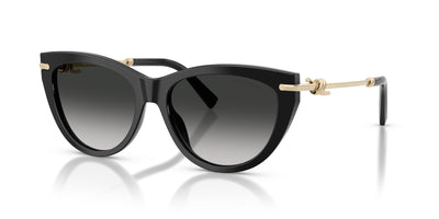 Gafas de Sol Tiffany TF4253 80013C 55 16