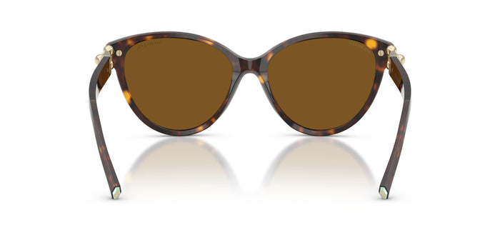 TF4261 — vista 3