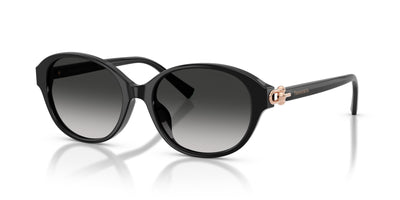 Gafas de Sol Tiffany TF4263D 80013C 54 17