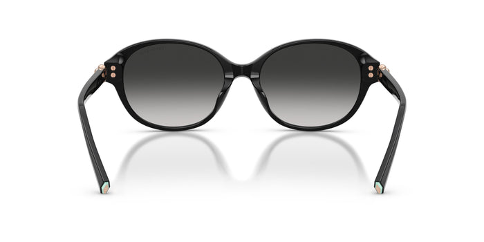 TF4263D — vista 3