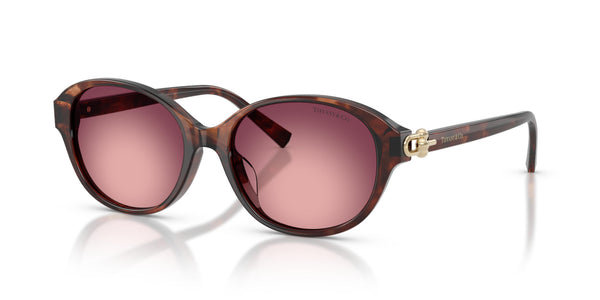 Gafas de Sol Tiffany TF4263D 84218H 54 17