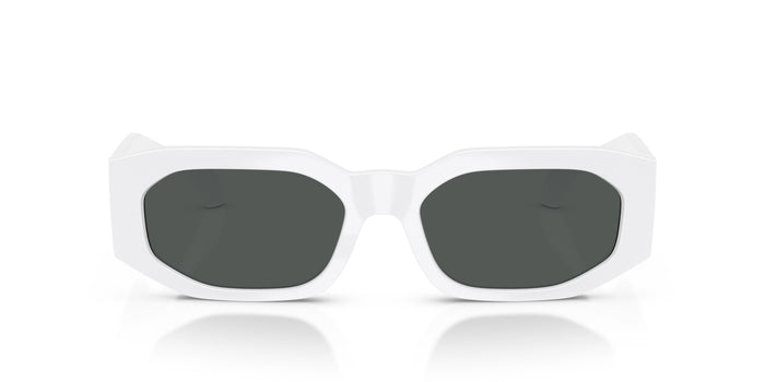 VE4489U — vista 4